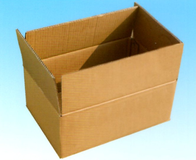 Carton packing